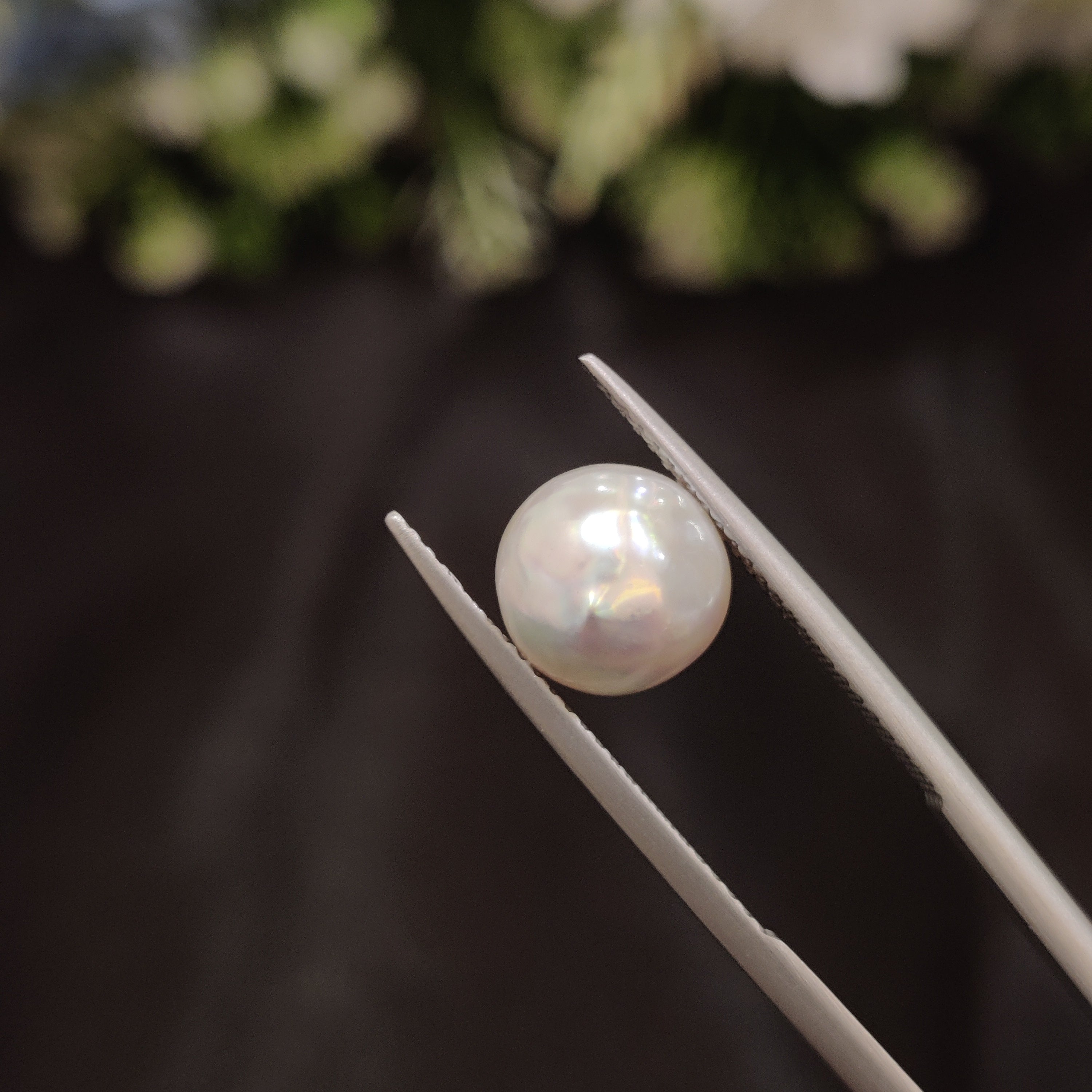 Pearl | Pearl 60 | 4.28 Carat