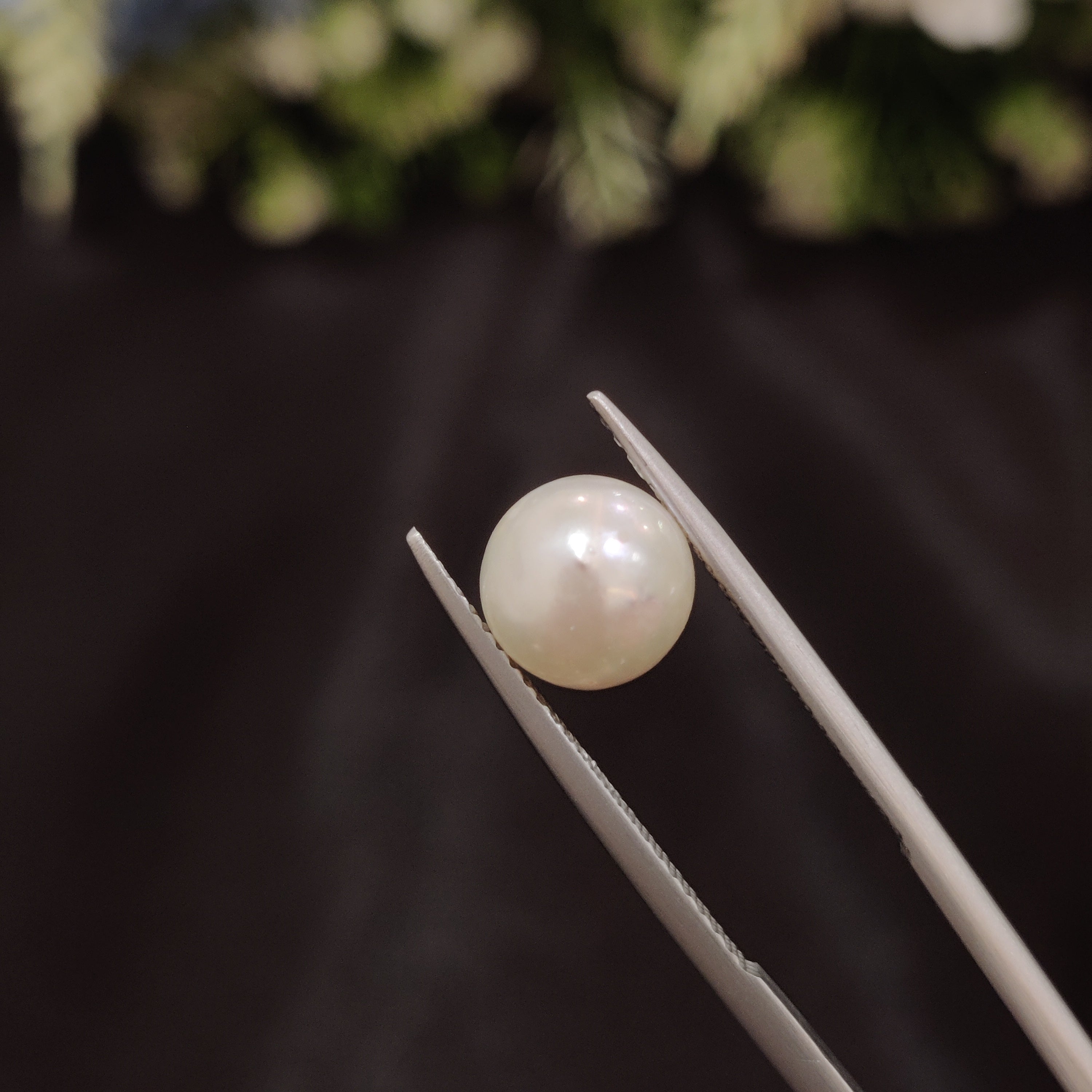 Pearl | Pearl 64 | 3.89 Carat