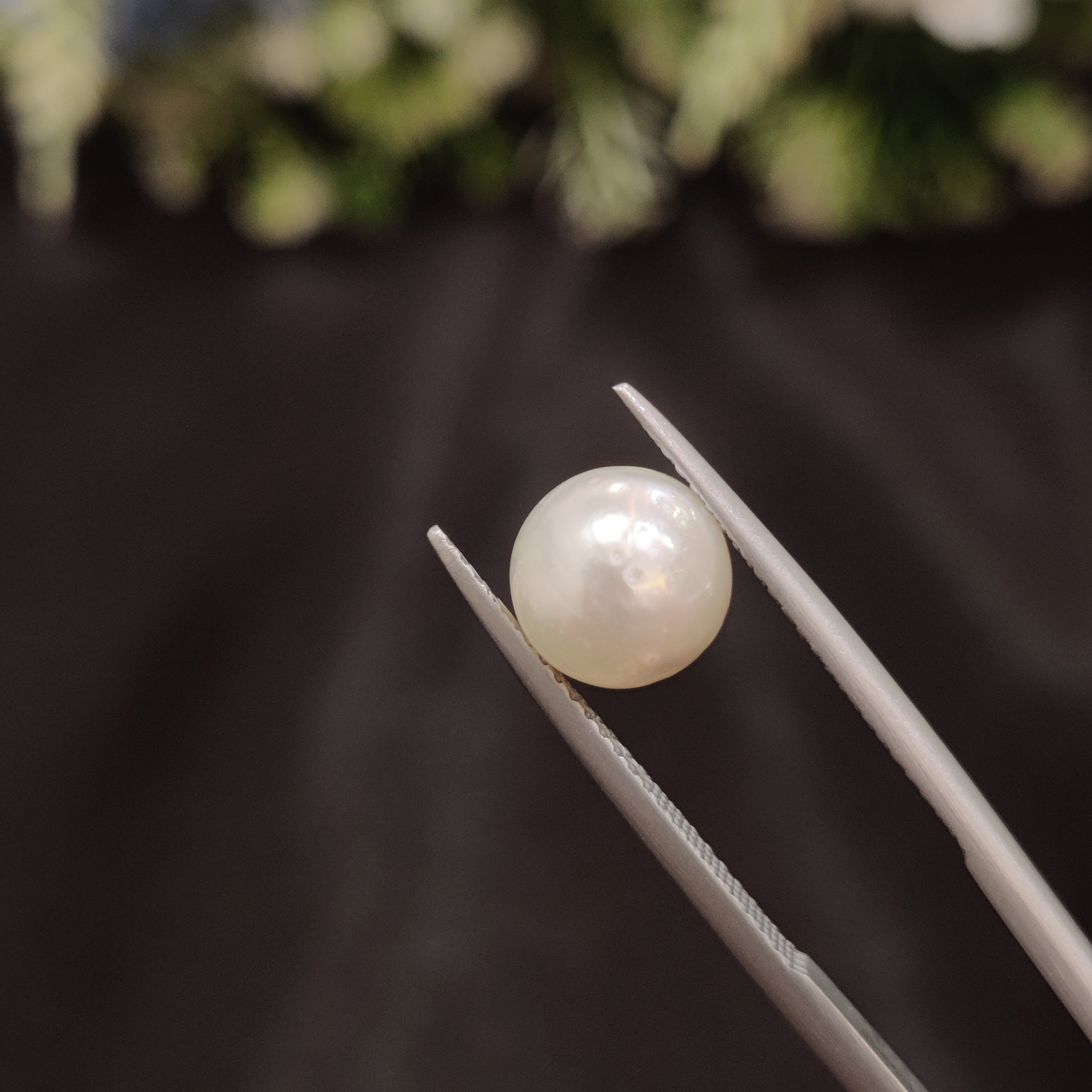 Pearl | Pearl 64 | 3.89 Carat