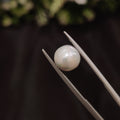 Pearl | Pearl 85 | 3.89 Carat