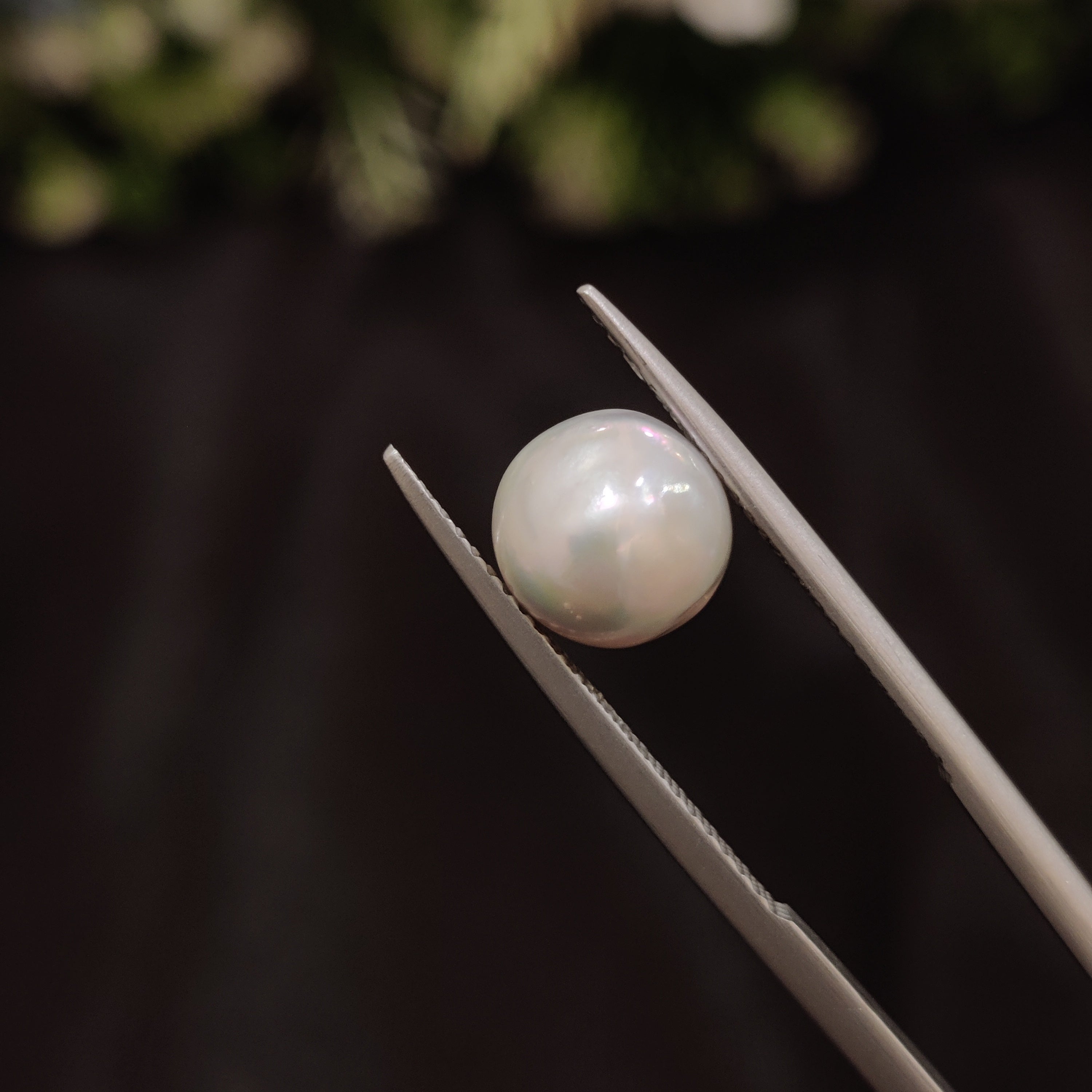 Pearl | Pearl 85 | 3.89 Carat