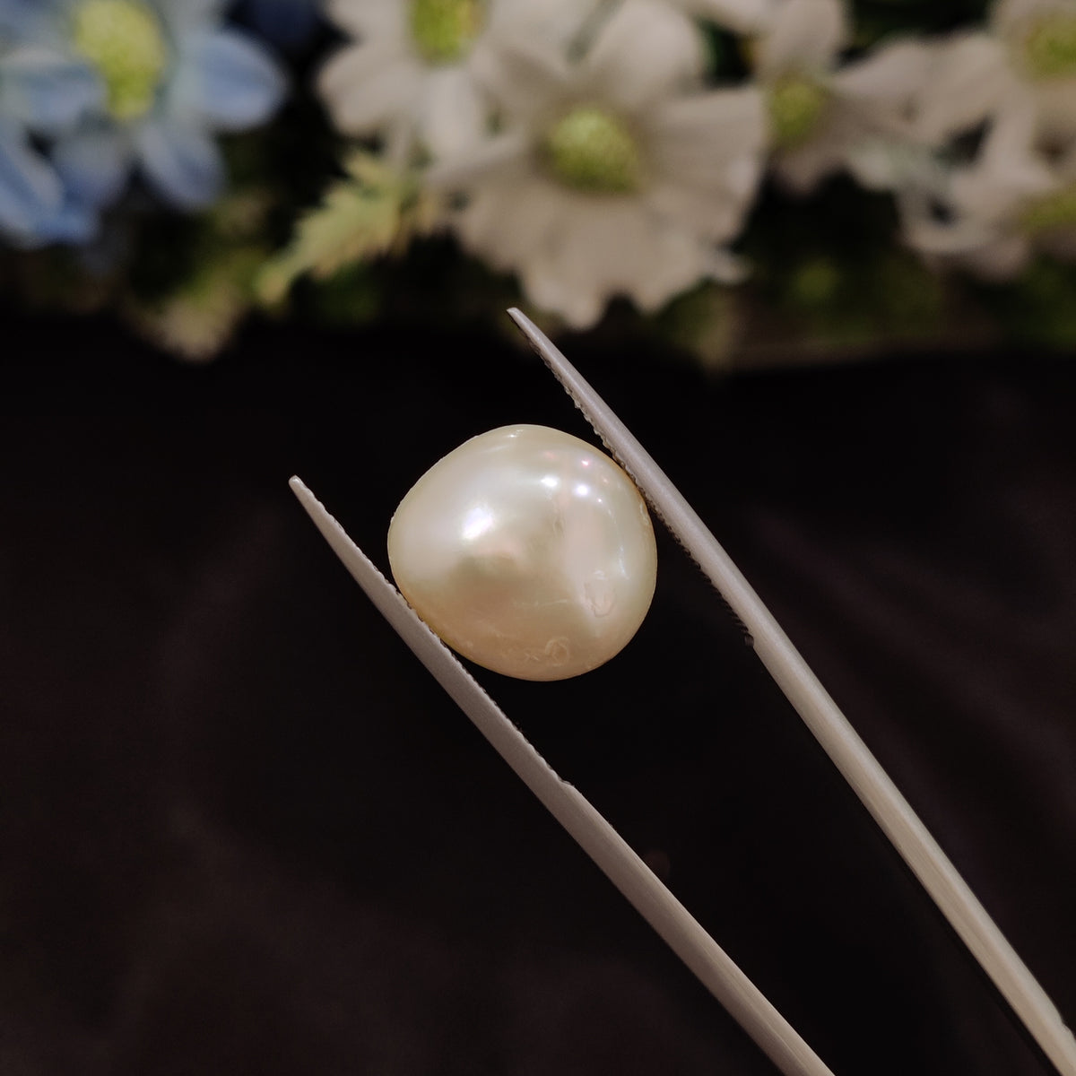 Natural Pearl (Moti) | Pearl 35 | 9.62 Carat | Certified