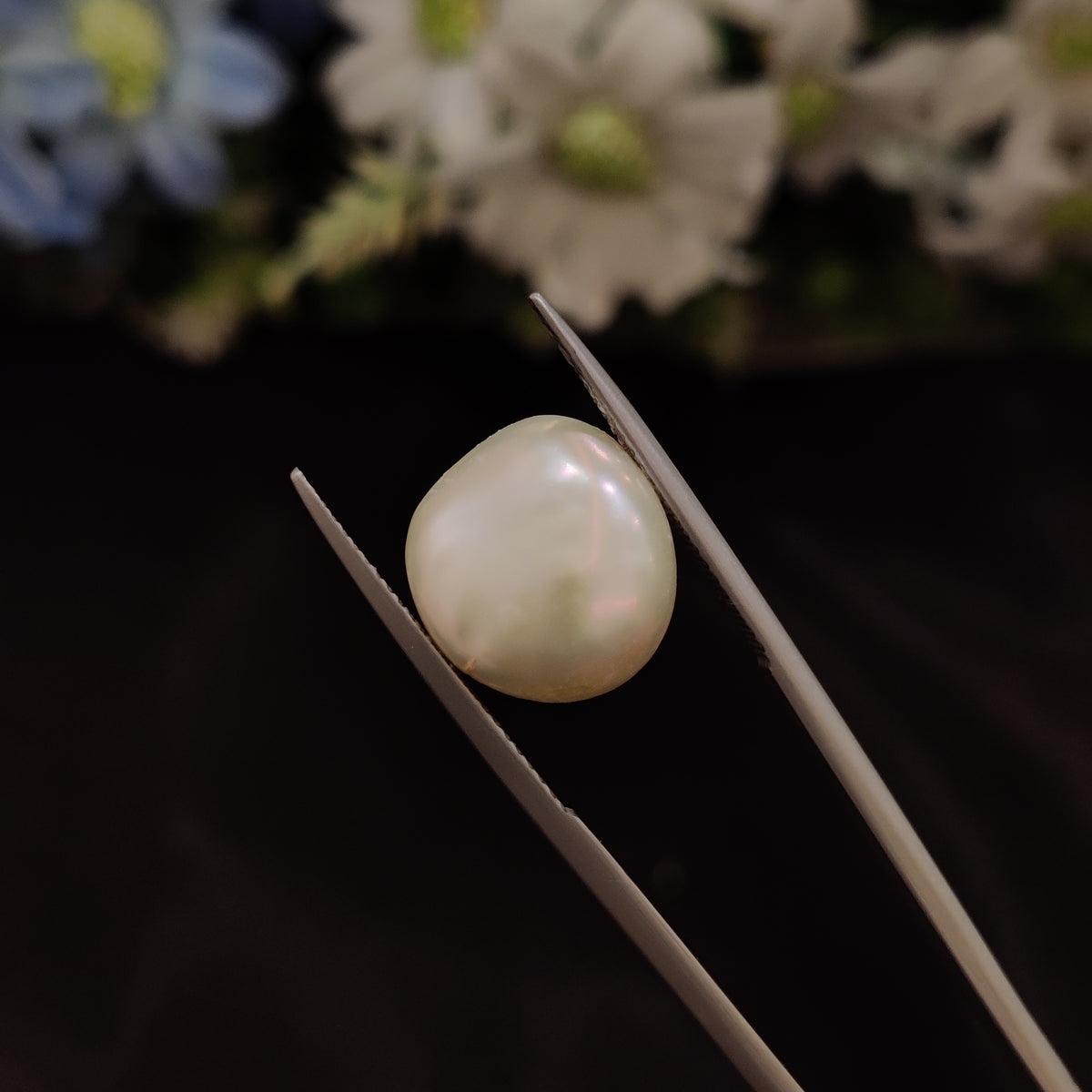 Natural Pearl (Moti) | Pearl 35 | 9.62 Carat | Certified