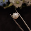 Pearl | Pearl 145 | 5.42 Carat