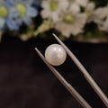 Pearl | Pearl 205 | 5.16 Carat