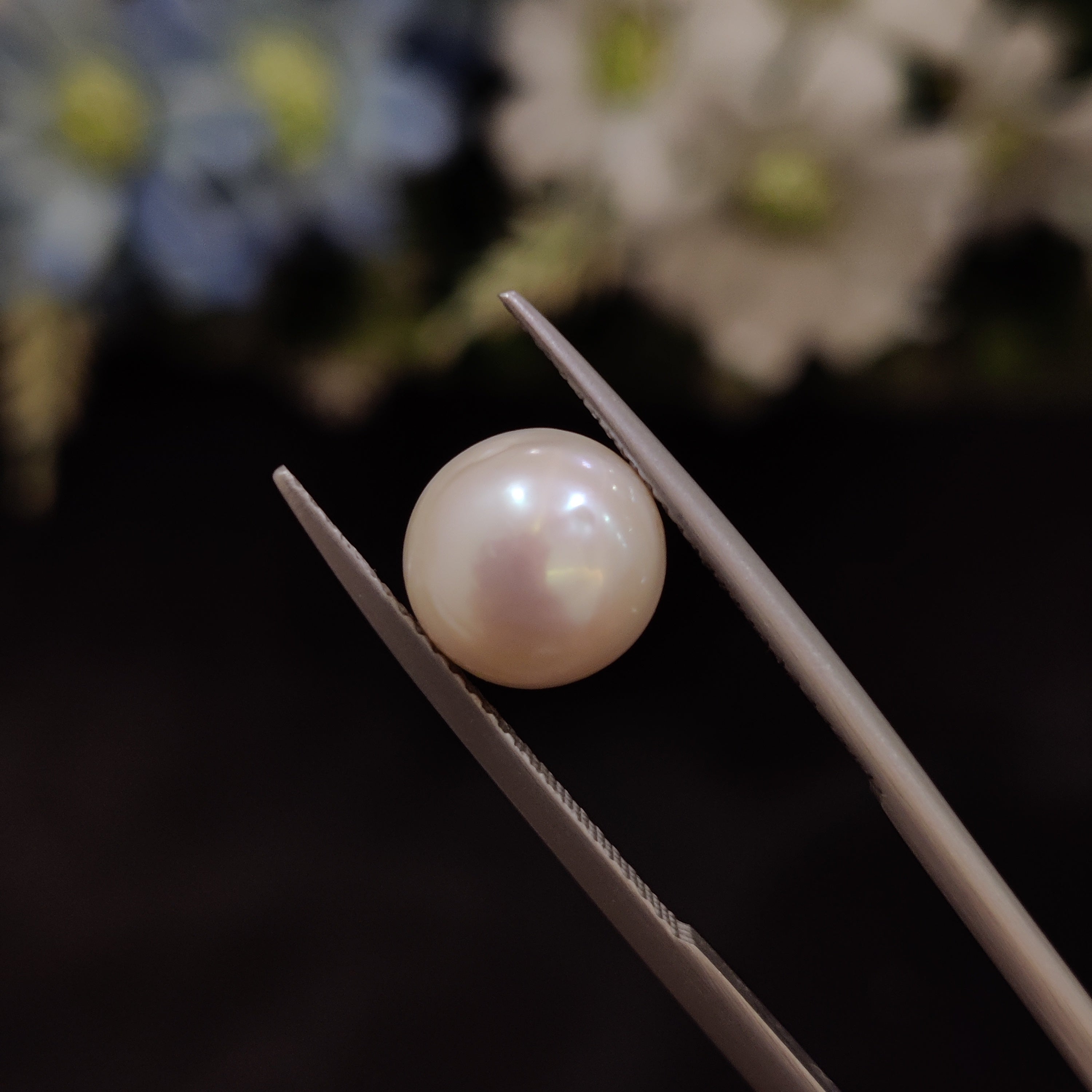 Pearl | Pearl 191 | 4.94 Carat