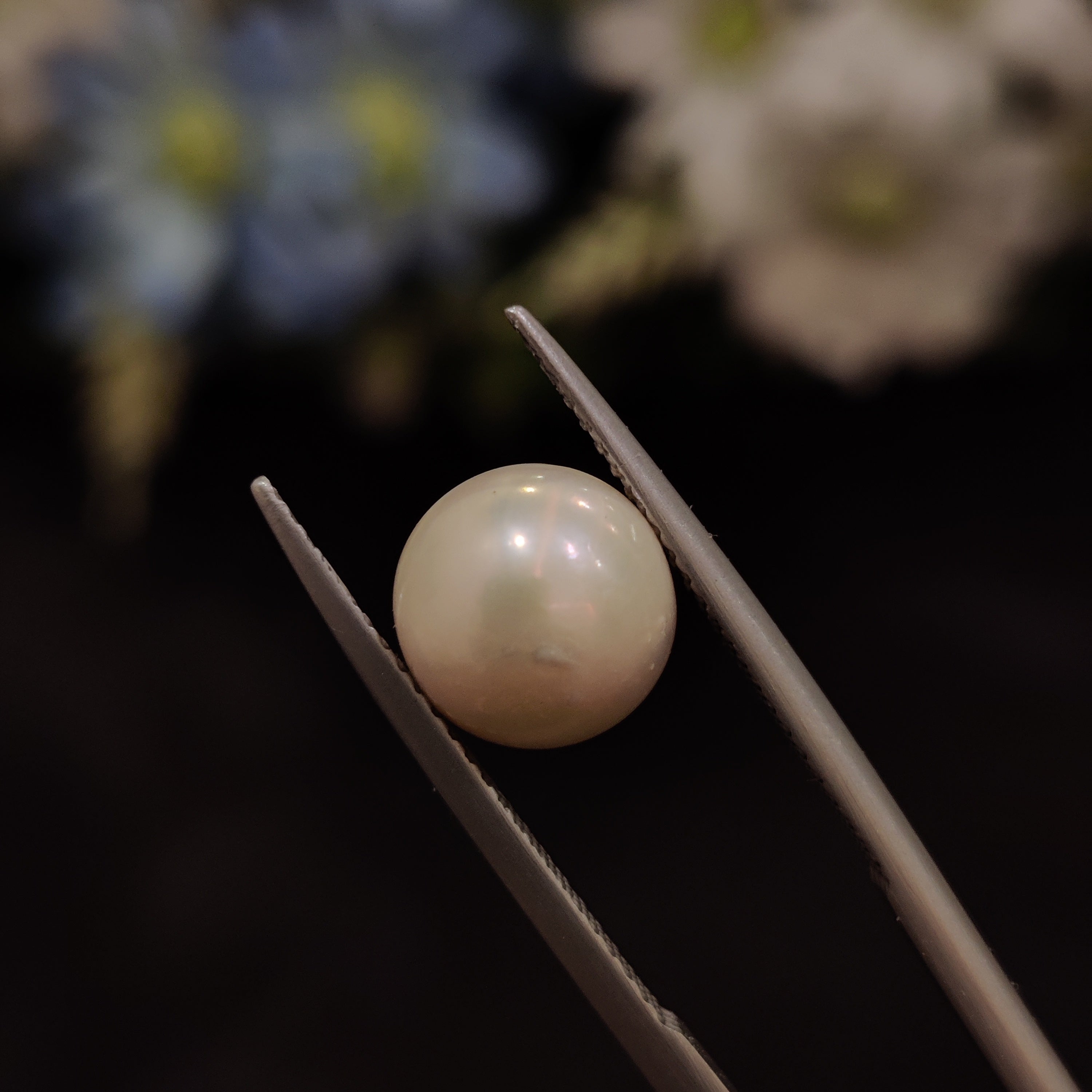 Pearl | Pearl 131 | 4.58 Carat