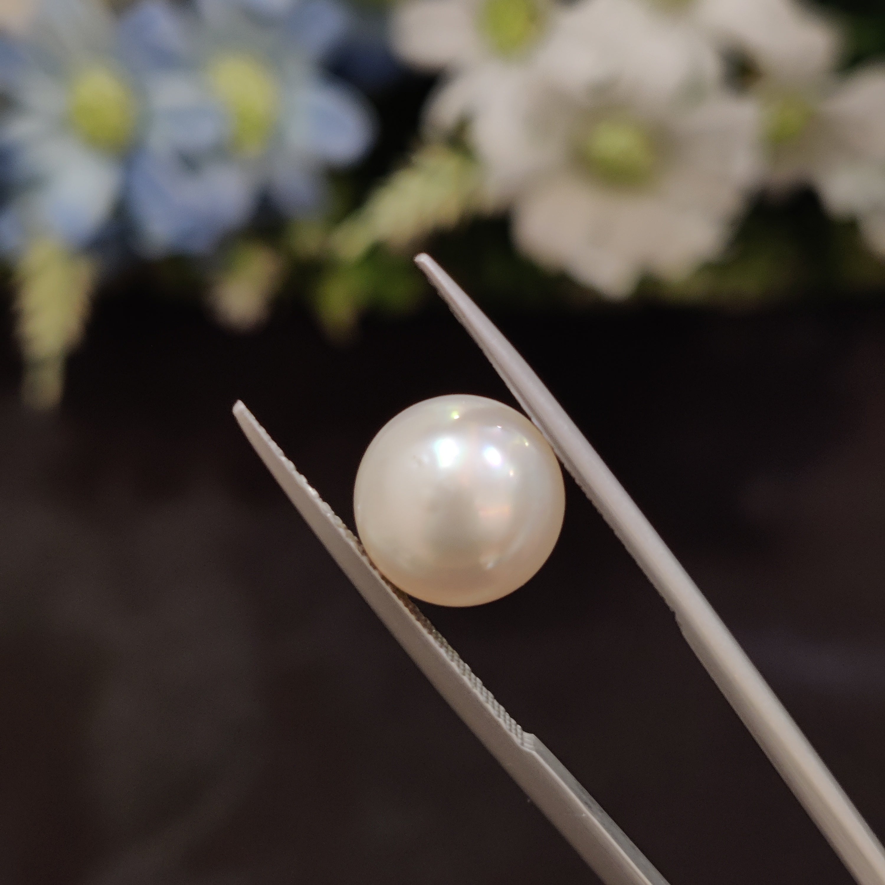 Pearl | Pearl 113 | 6.38 Carat