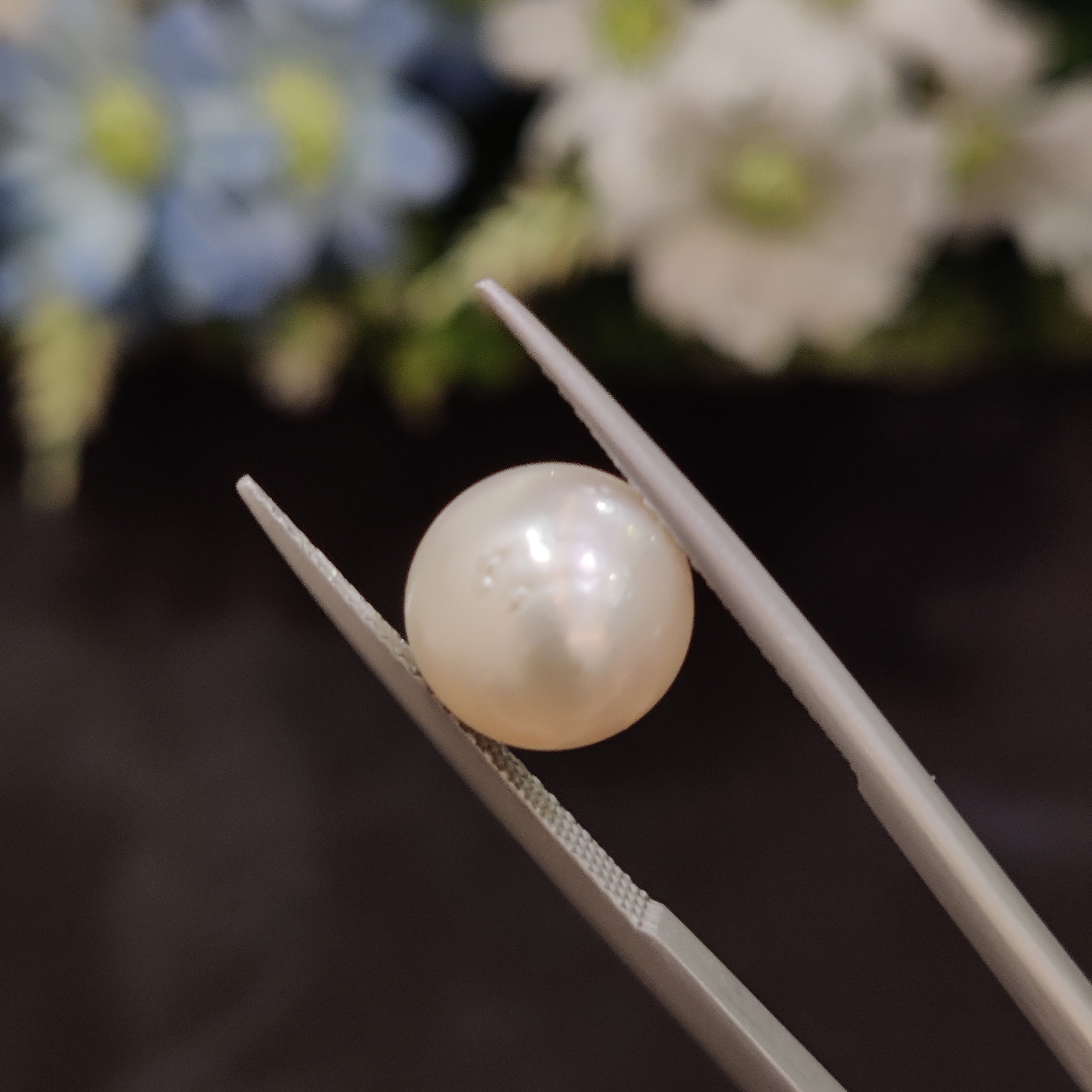 Pearl | Pearl 113 | 6.38 Carat