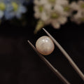 Pearl | Pearl 222 | 5.13 Carat