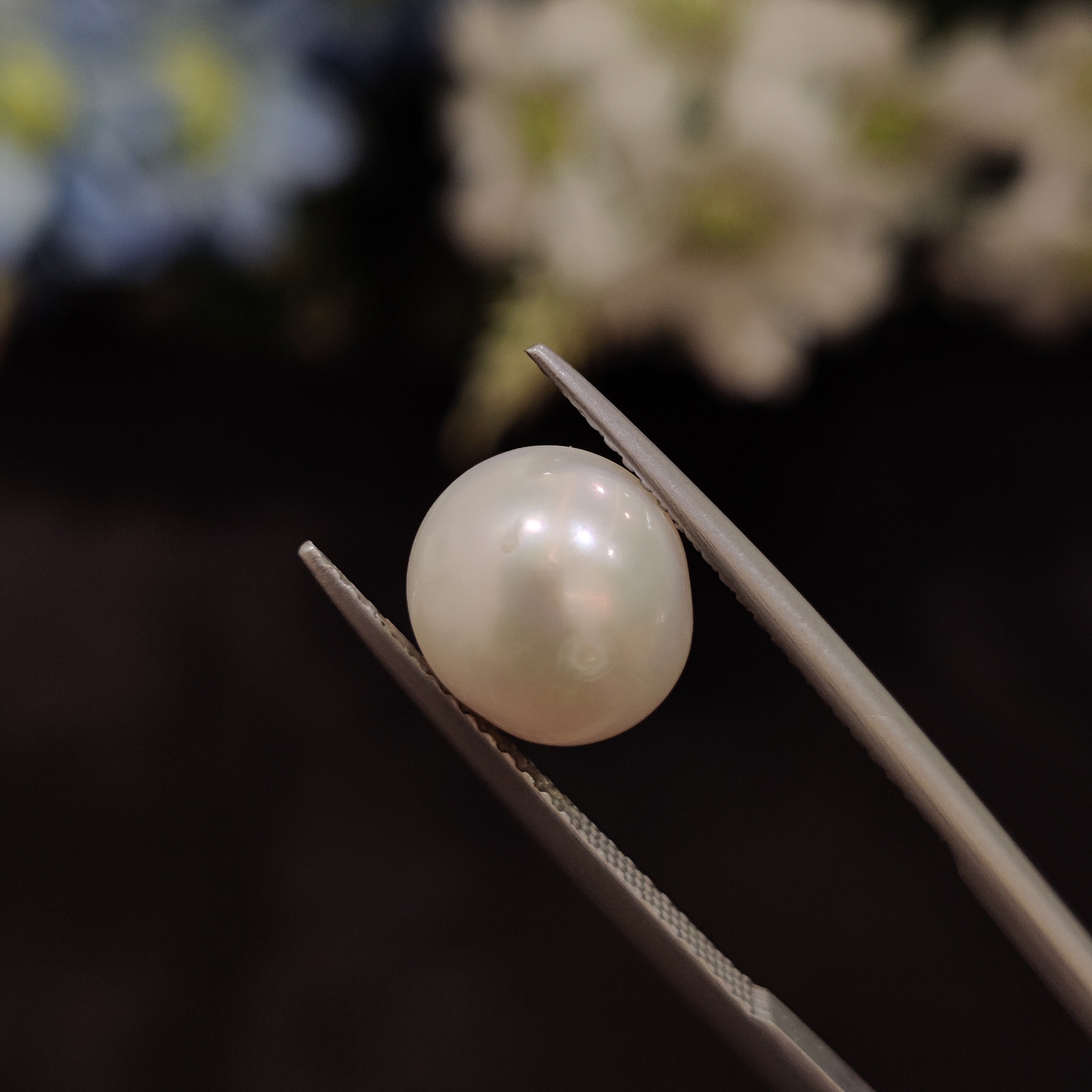 Pearl | Pearl 168 | 5.57 Carat