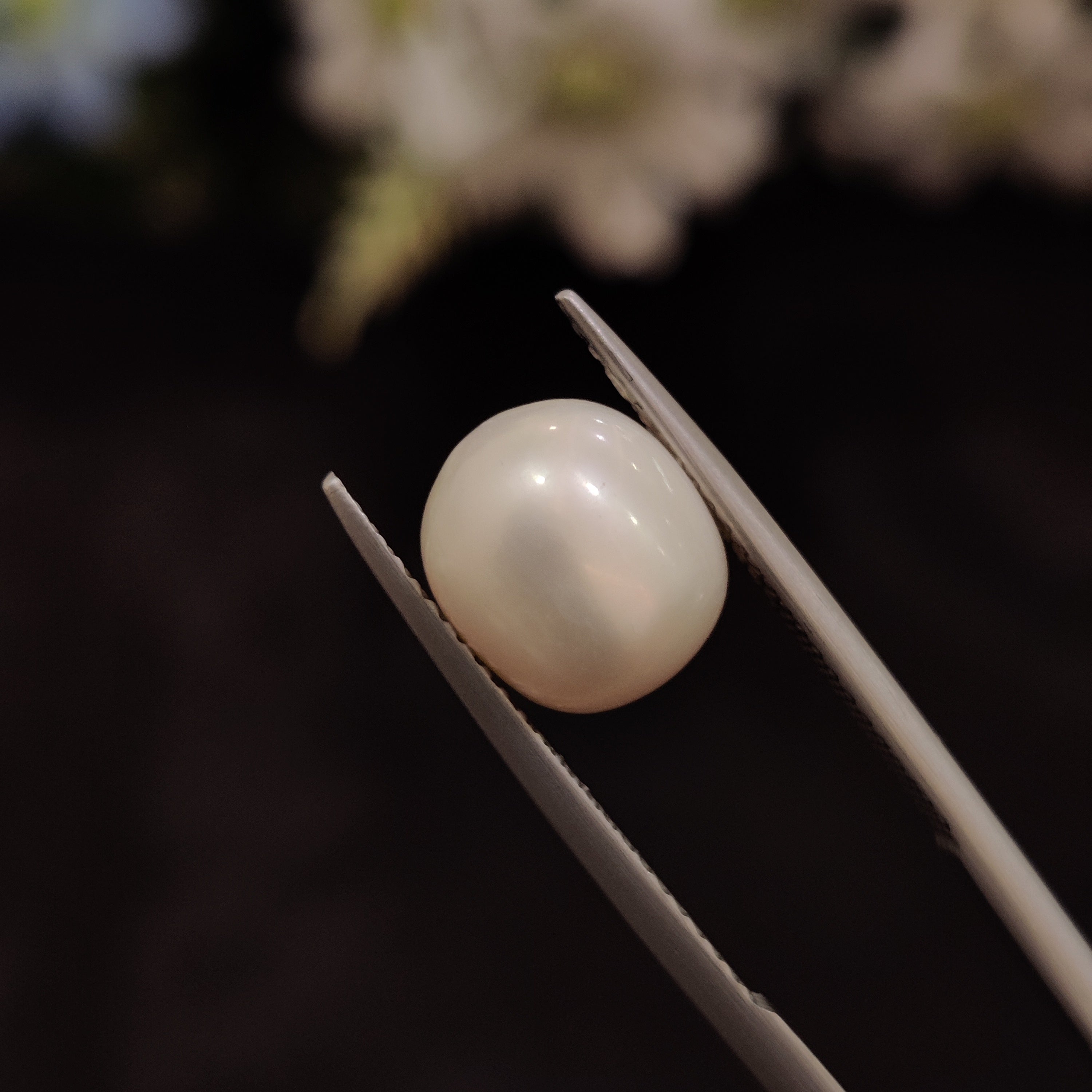 Pearl | Pearl 223 | 5.47 Carat
