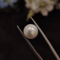 Pearl | Pearl 220 | 4.56 Carat