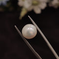 Pearl | Pearl 157 | 5 Carat