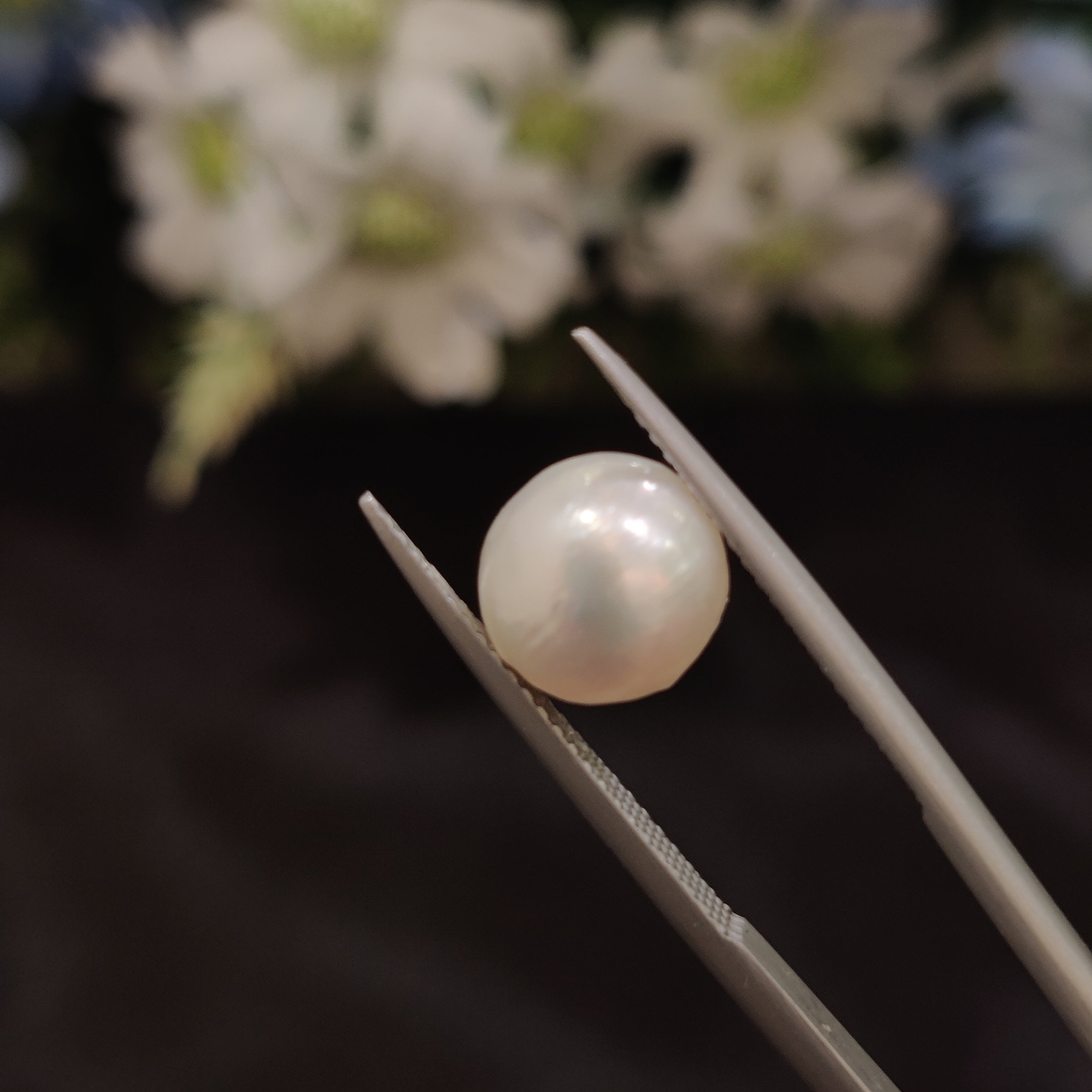Pearl | Pearl 137 | 4.75 Carat
