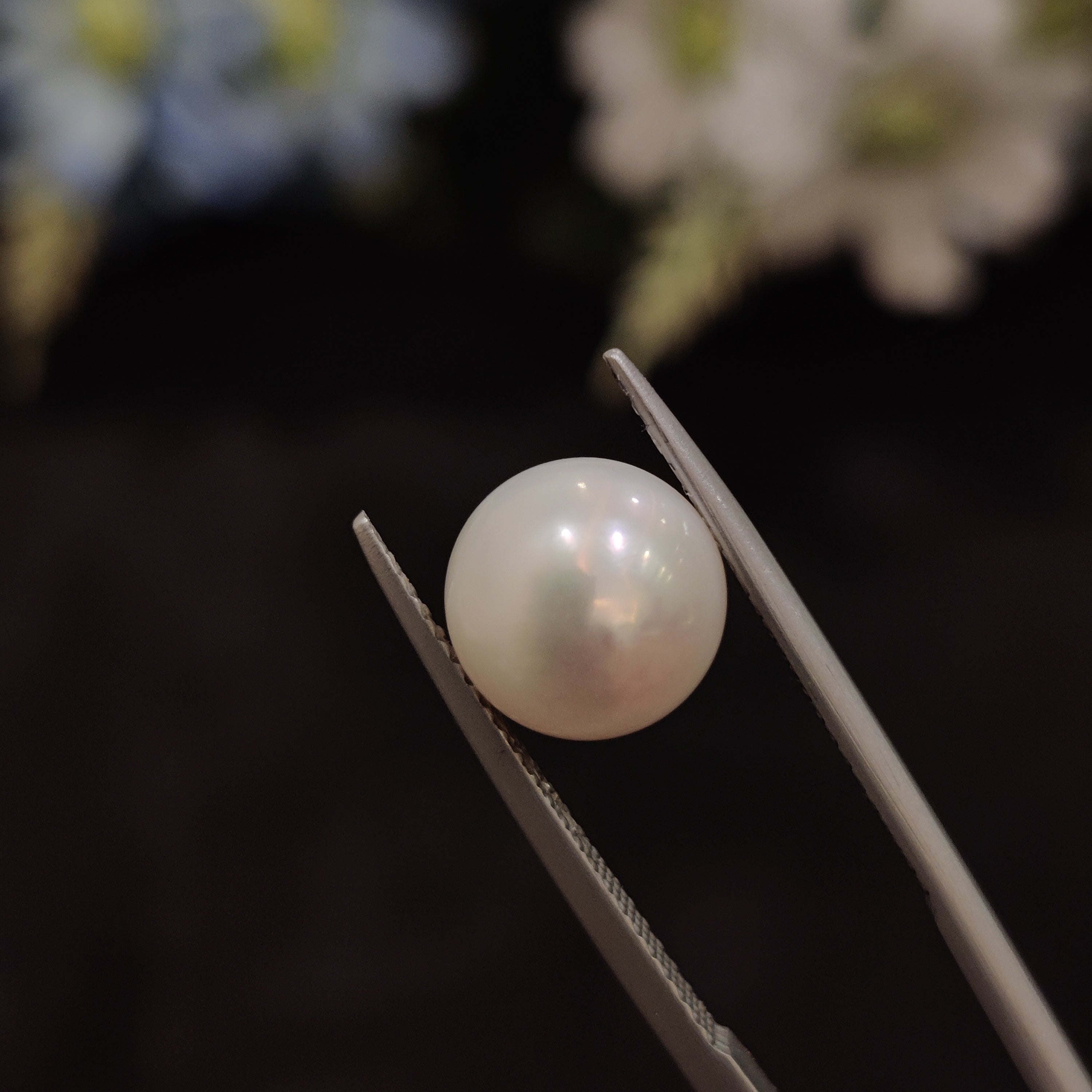 Pearl | Pearl 135 | 5.76 Carat