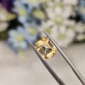 Citrine  | Citrine 20 | 2.85 Carat