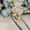 Citrine  | Citrine 46 | 2.71 Carat