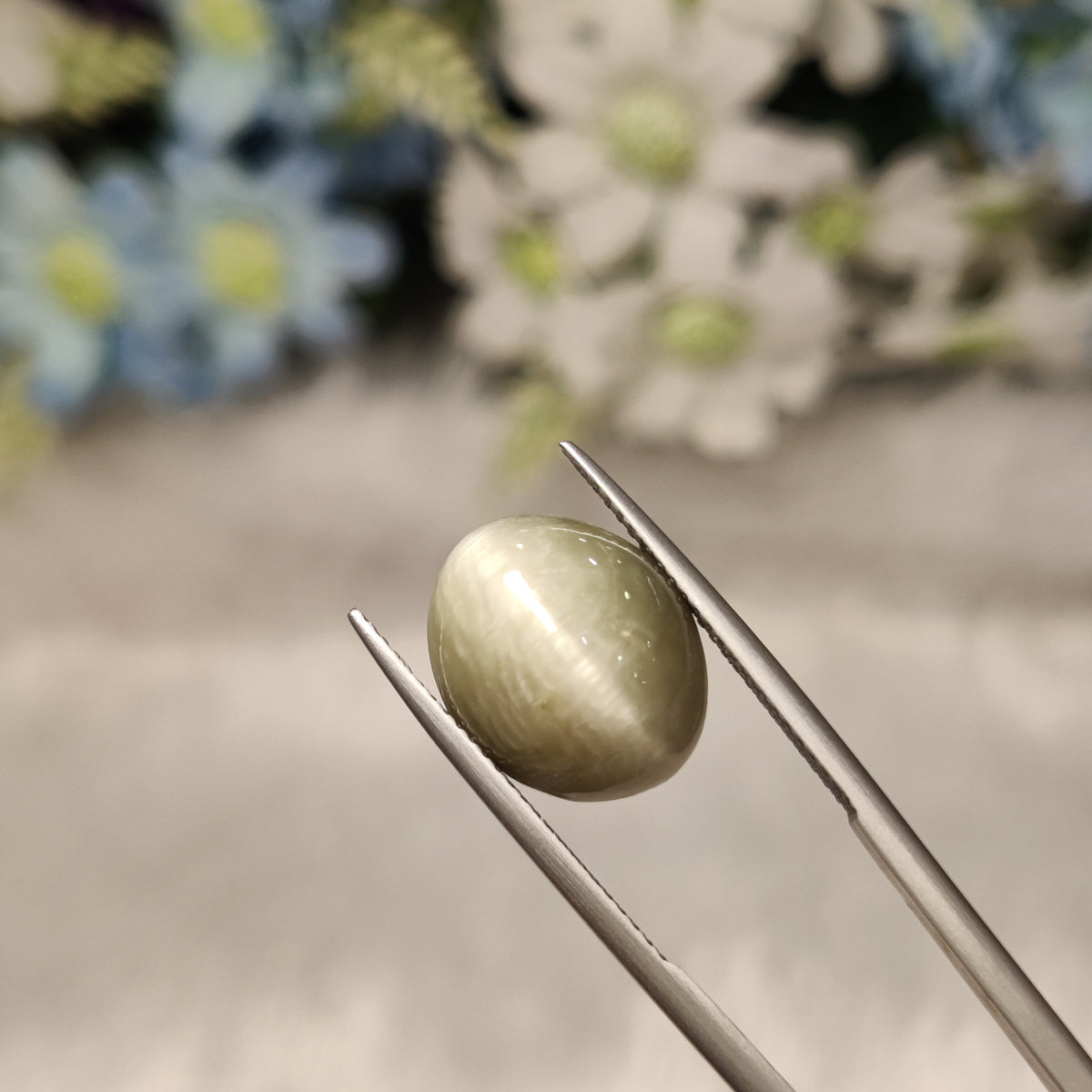 Natural Cats Eye (Lehsunia) | CE 100 | 8.94 Carat | Certified