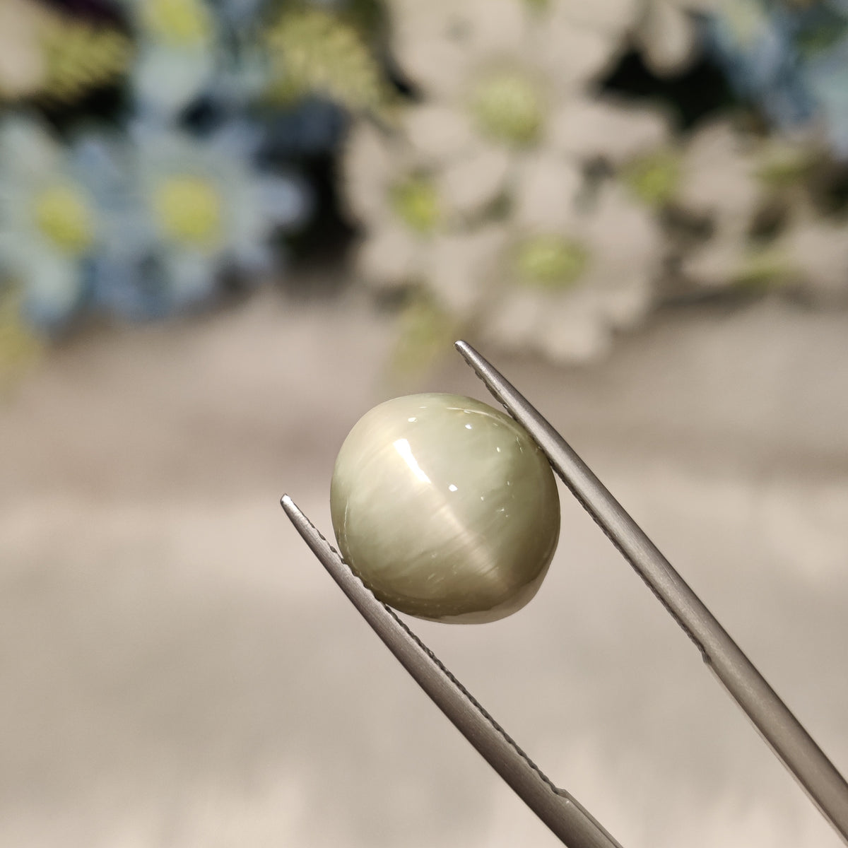 Natural Cats Eye (Lehsunia) | CE 28 | 8.55 Carat | Certified