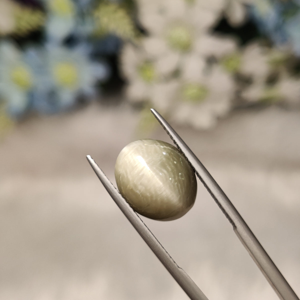 Natural Cats Eye (Lehsunia) | CE 102 | 8.52 Carat | Certified