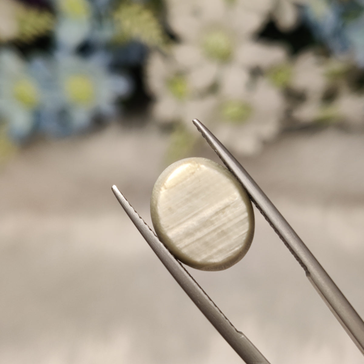 Natural Cats Eye (Lehsunia) | CE 102 | 8.52 Carat | Certified