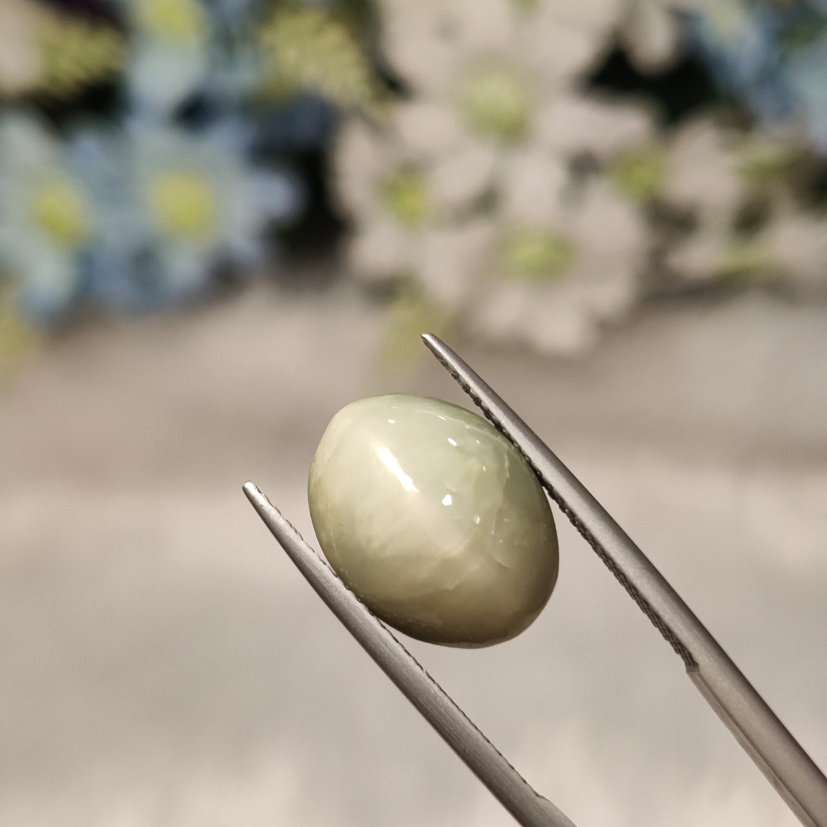 Natural Cats Eye (Lehsunia) | CE 6 | 8.94 Carat | Certified