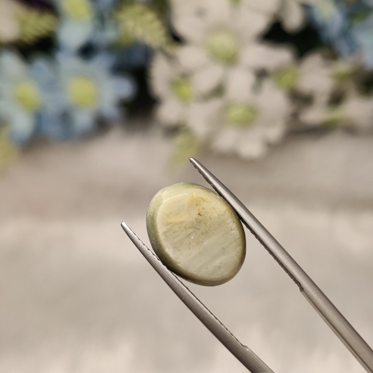 Natural Cats Eye (Lehsunia) | CE 6 | 8.94 Carat | Certified