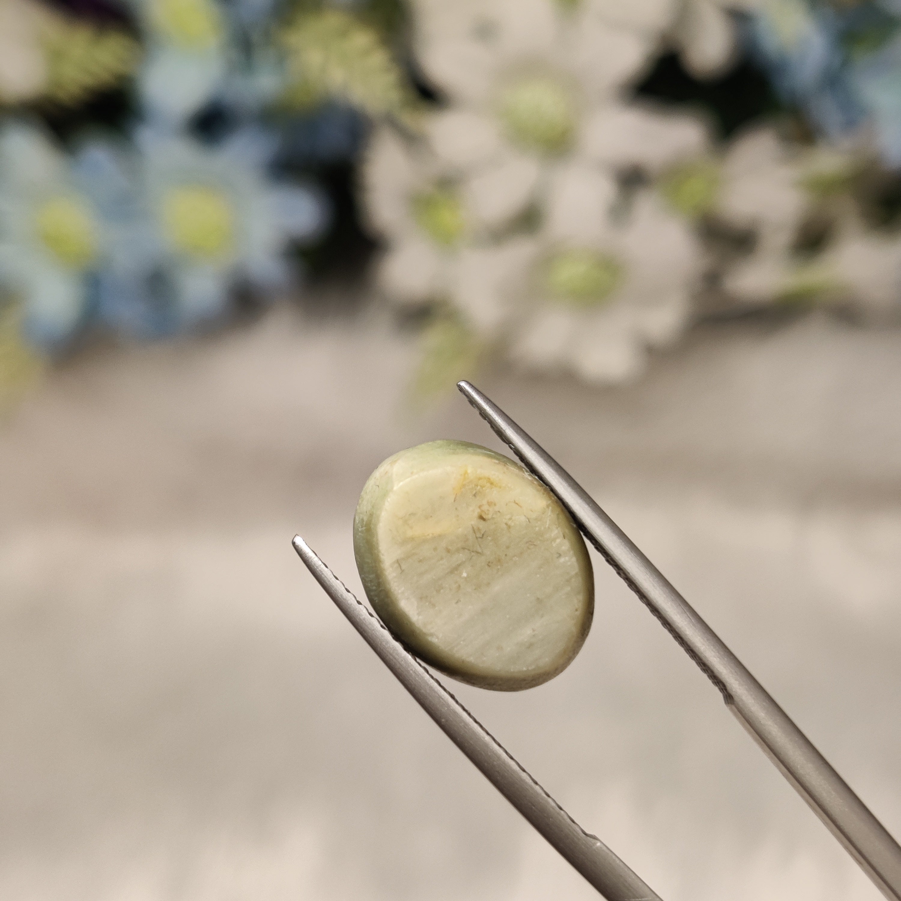 Cats Eye | CE 6 | 8.94 Carat