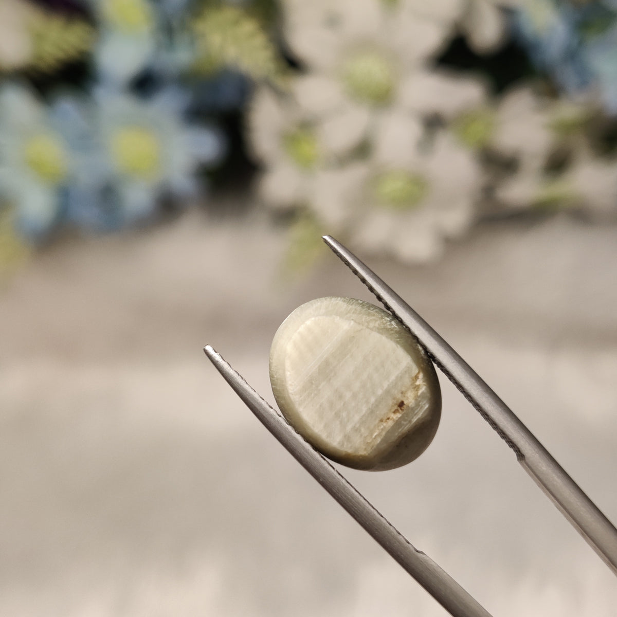 Natural Cats Eye (Lehsunia) | CE 66 | 8.47 Carat | Certified