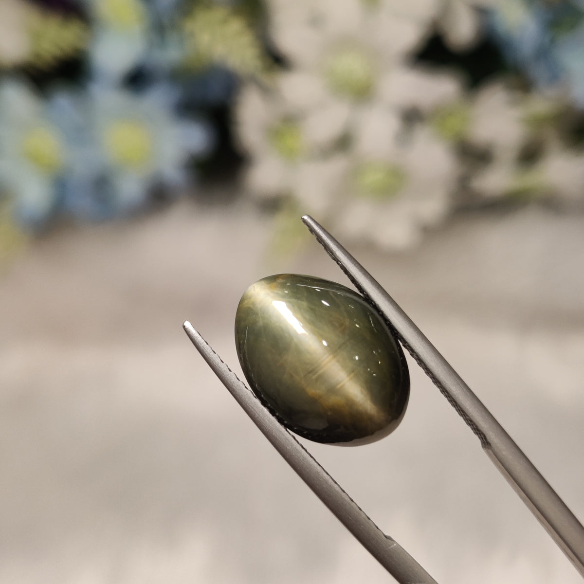 Natural Cats Eye (Lehsunia) | CE 22 | 8.68 Carat | Certified