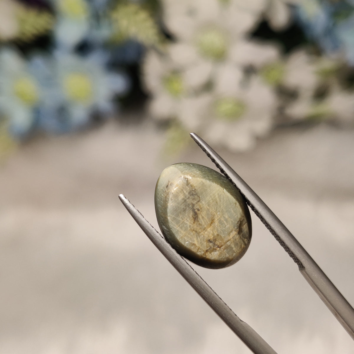 Natural Cats Eye (Lehsunia) | CE 22 | 8.68 Carat | Certified