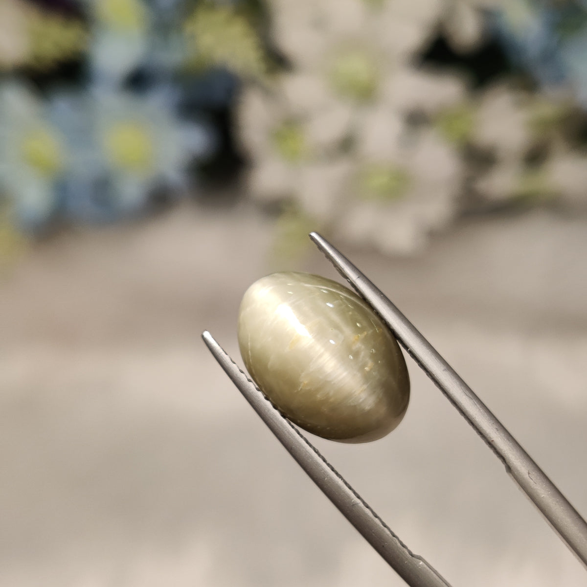 Natural Cats Eye (Lehsunia) | CE 86 | 8.22 Carat | Certified