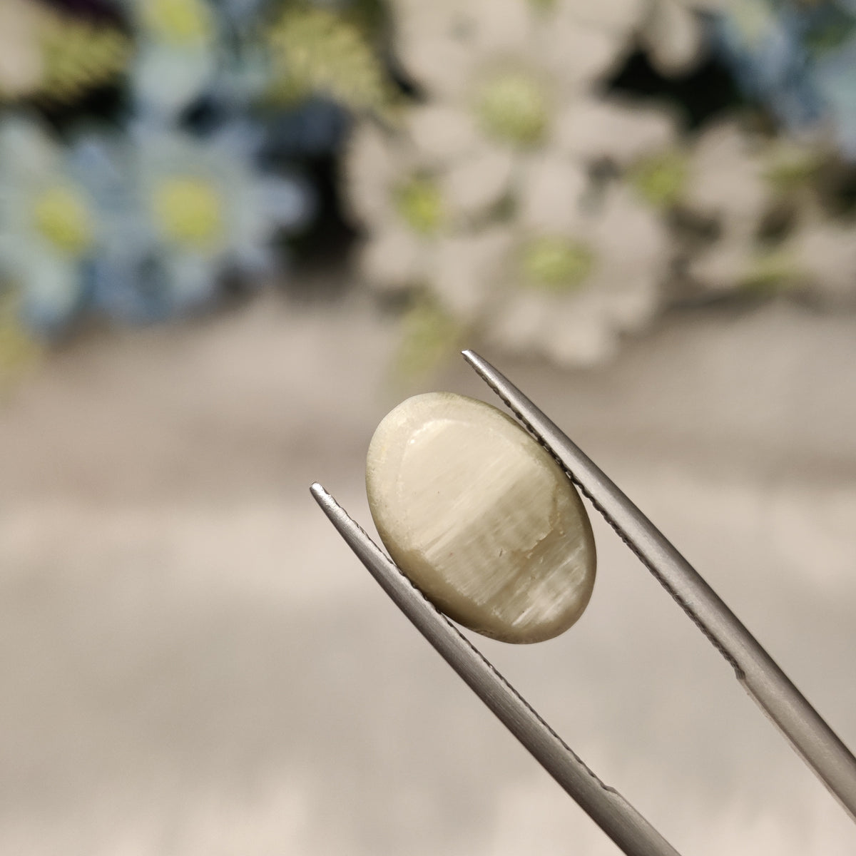 Natural Cats Eye (Lehsunia) | CE 86 | 8.22 Carat | Certified