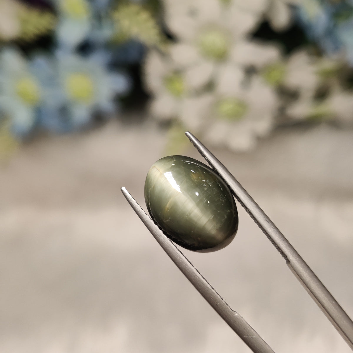 Natural Cats Eye (Lehsunia) | CE 63 | 8.45 Carat | Certified