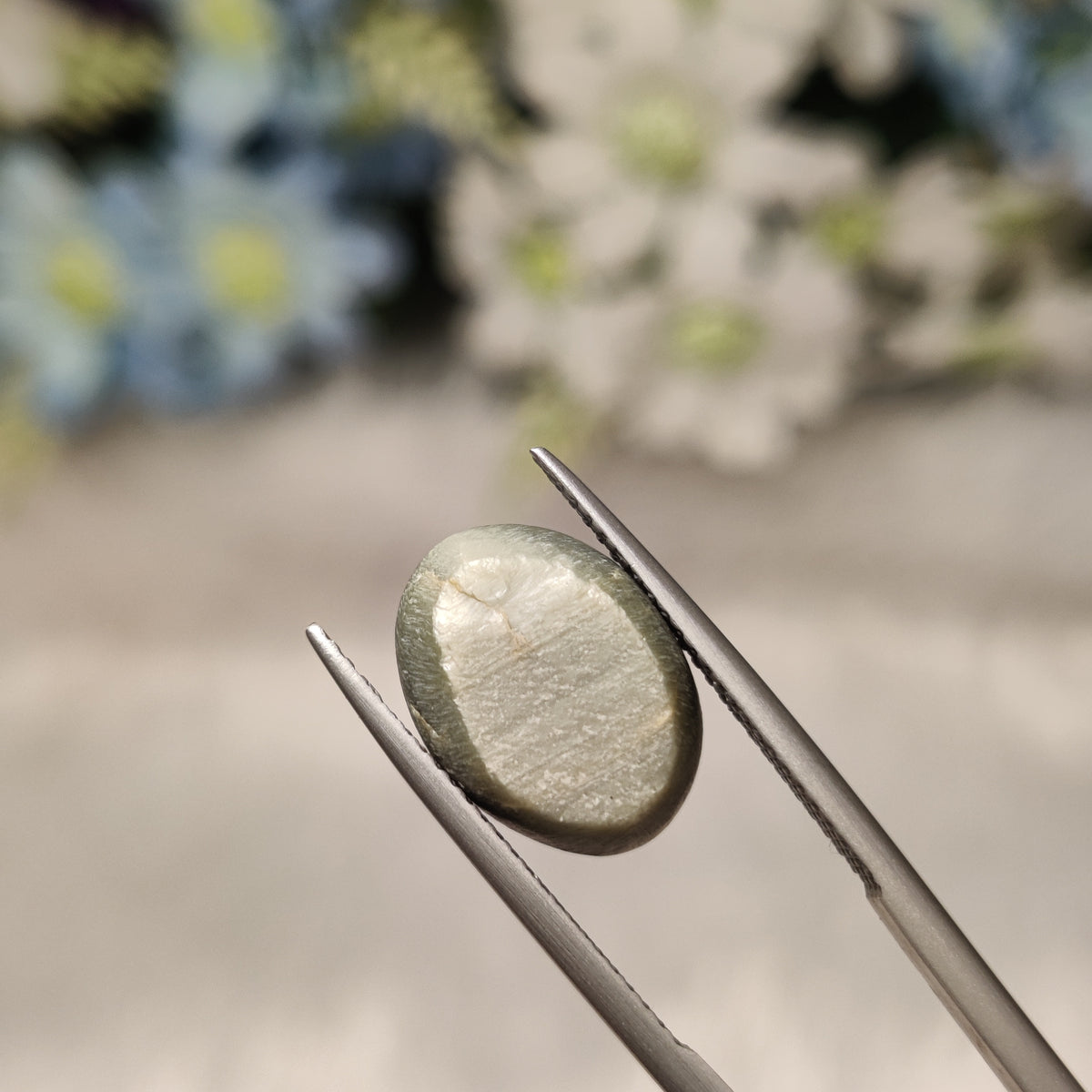 Natural Cats Eye (Lehsunia) | CE 63 | 8.45 Carat | Certified