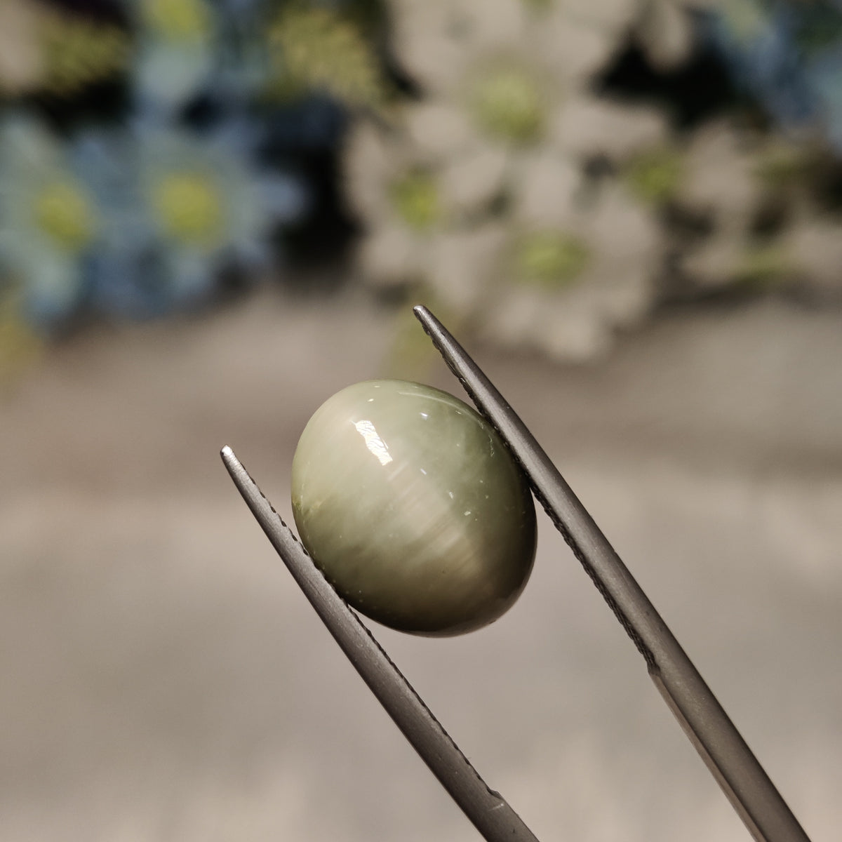 Natural Cats Eye (Lehsunia) | CE 18 | 8.11 Carat | Certified