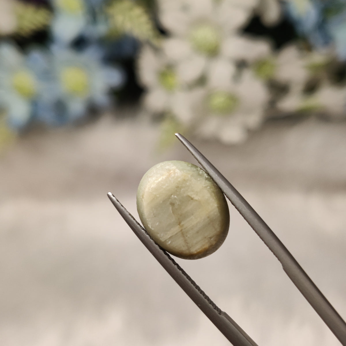 Natural Cats Eye (Lehsunia) | CE 18 | 8.11 Carat | Certified