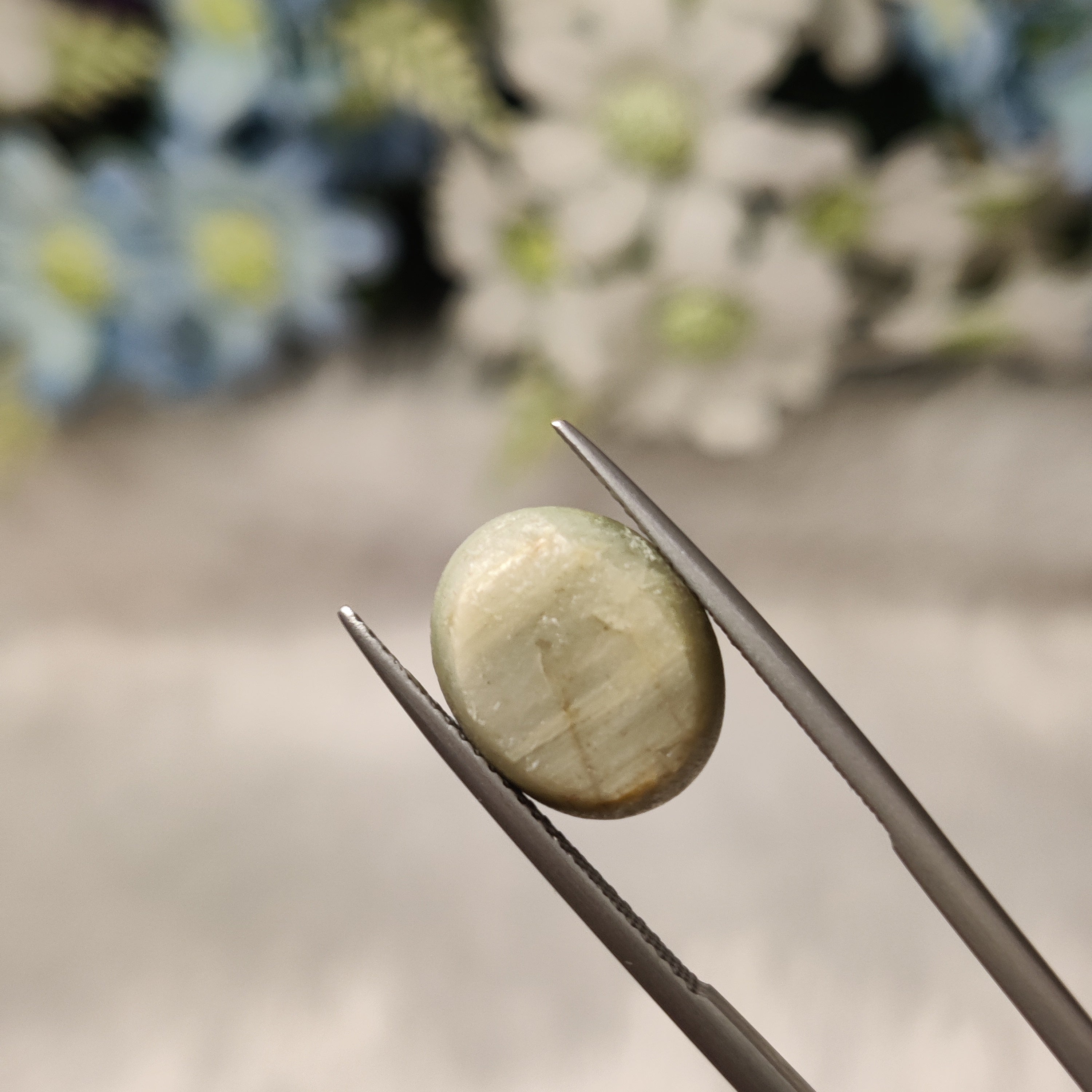 Cats Eye | CE 18 | 8.11 Carat