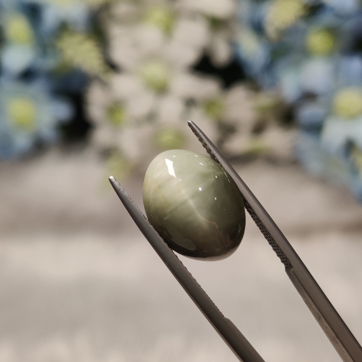 Natural Cats Eye (Lehsunia) | CE 20 | 8.03 Carat | Certified