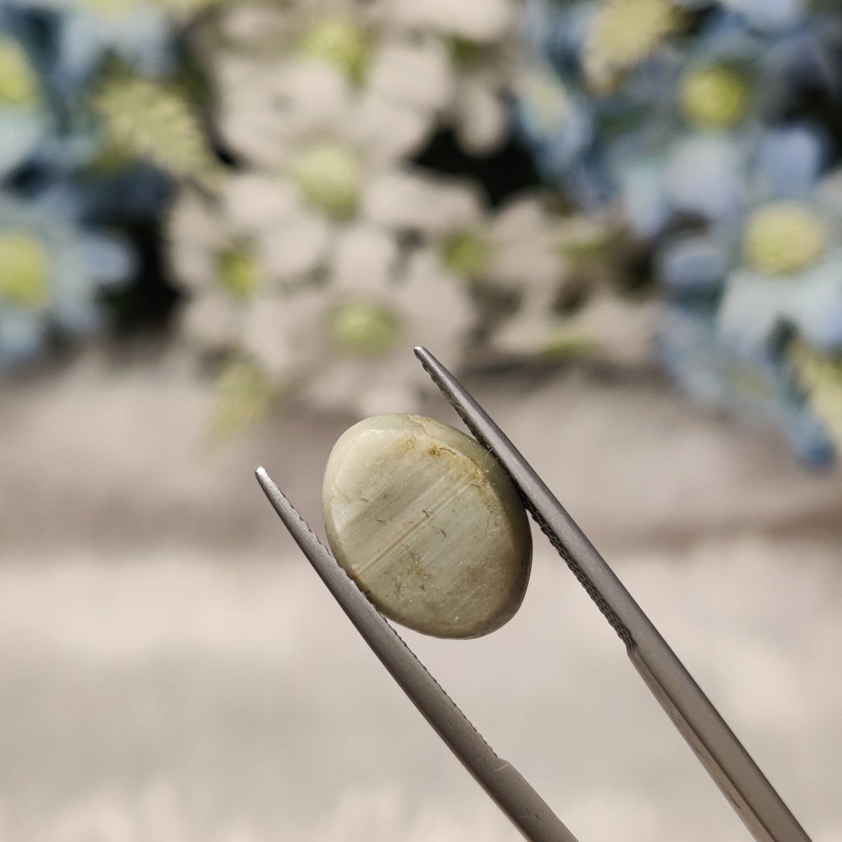Natural Cats Eye (Lehsunia) | CE 20 | 8.03 Carat | Certified