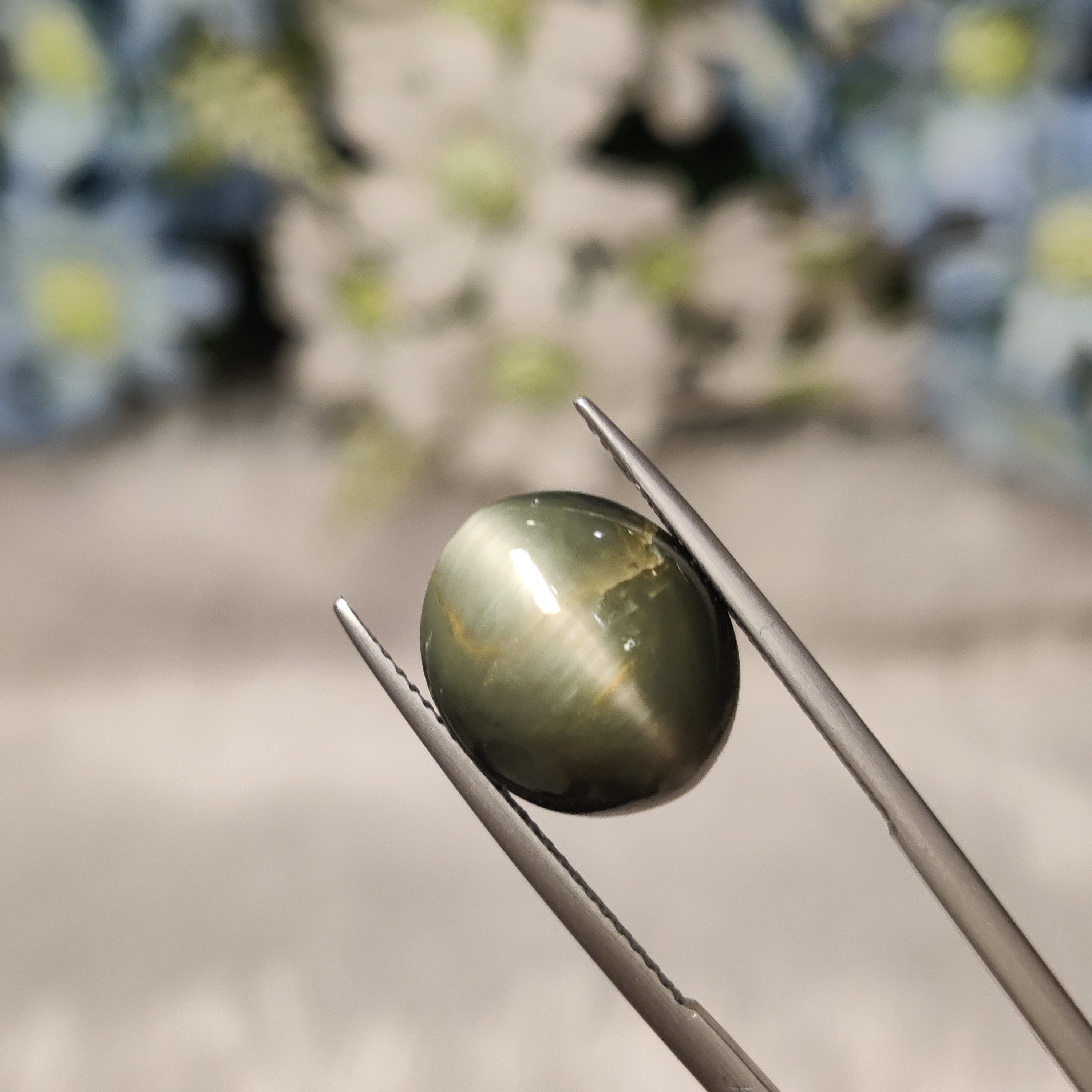 Cats Eye | CE 53 | 7.79 Carat