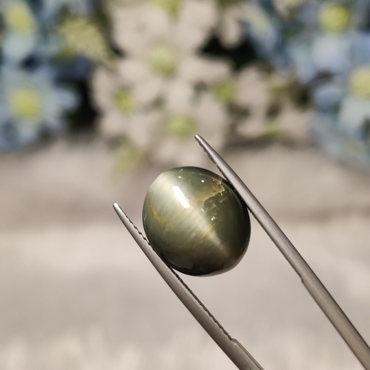 Natural Cats Eye (Lehsunia) | CE 52 | 8.92 Carat | Certified