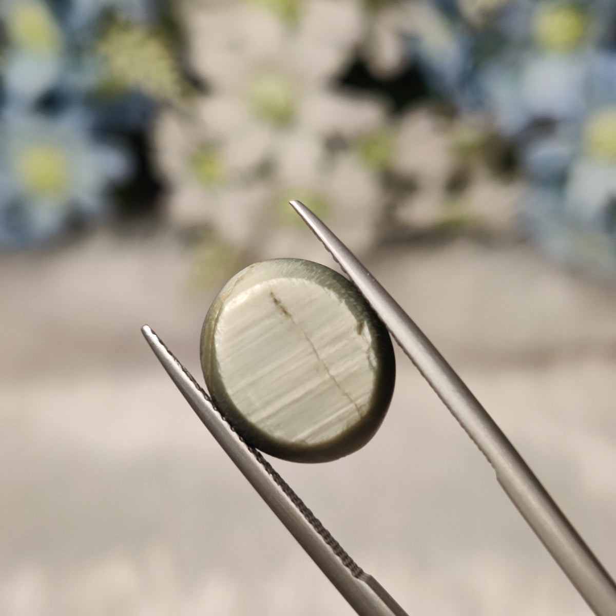 Natural Cats Eye (Lehsunia) | CE 52 | 8.92 Carat | Certified
