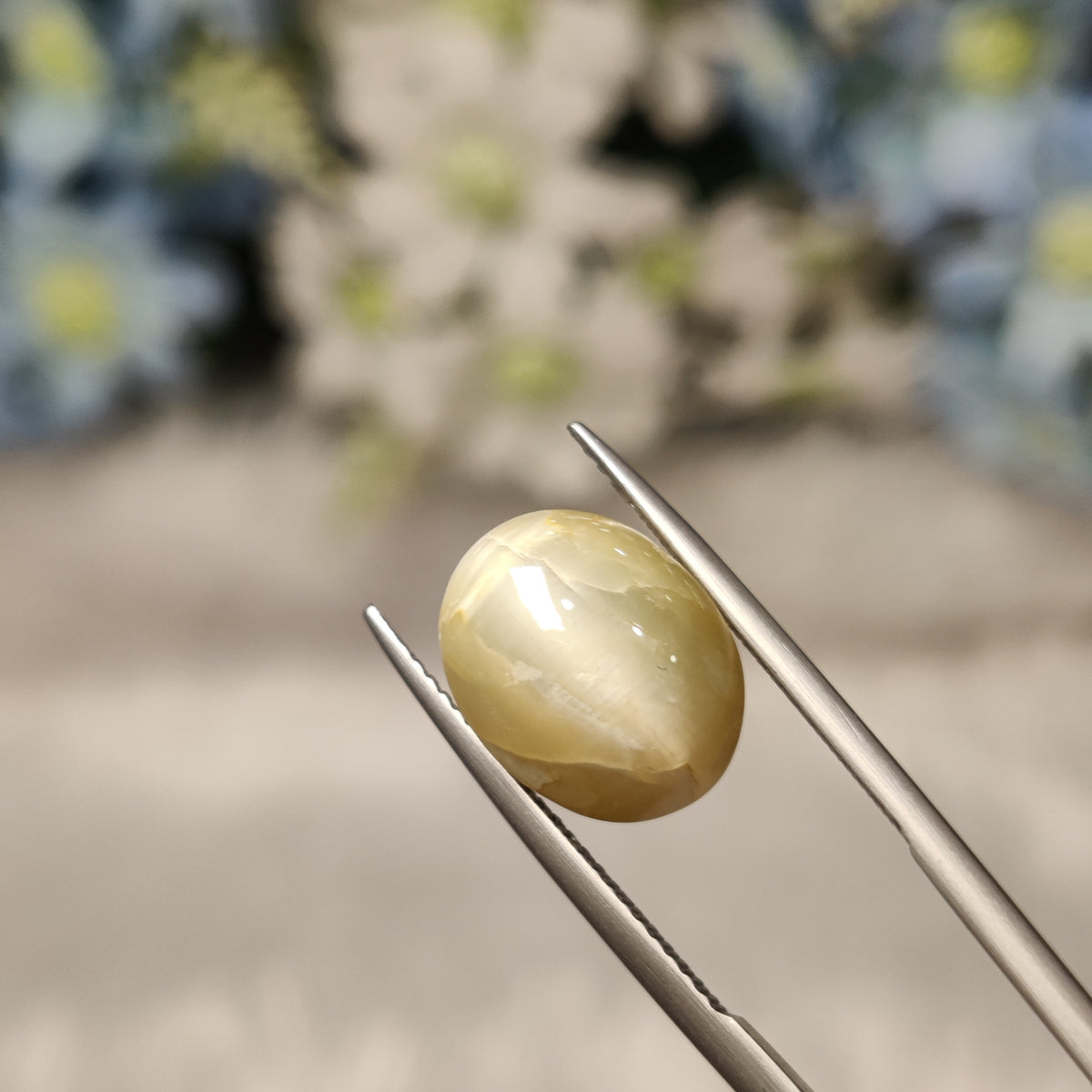 Natural Cats Eye (Lehsunia) | CE 80 | 8.3 Carat | Certified
