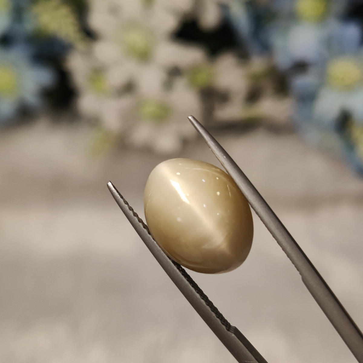Natural Cats Eye (Lehsunia) | CE 95 | 8.77 Carat | Certified
