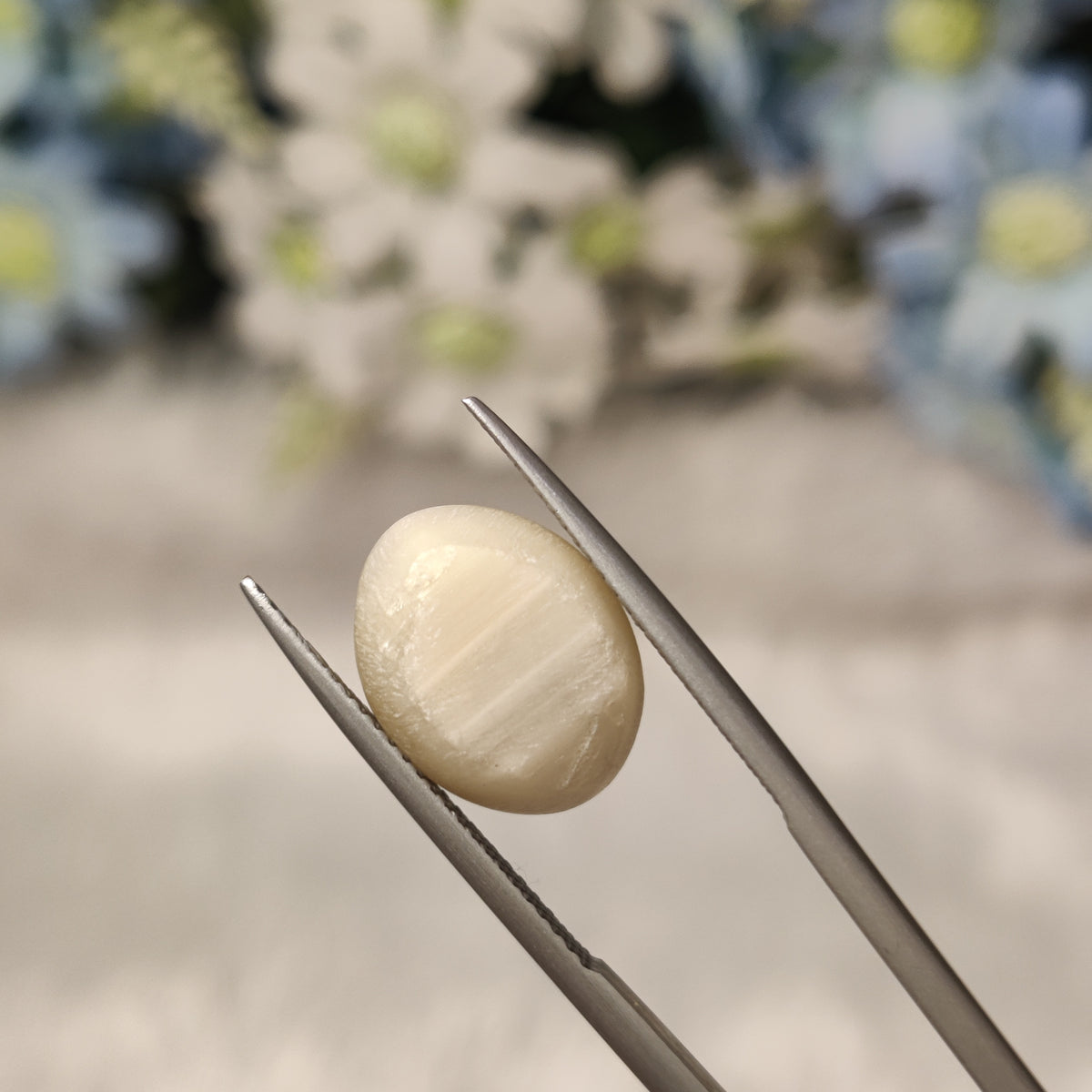 Natural Cats Eye (Lehsunia) | CE 95 | 8.77 Carat | Certified