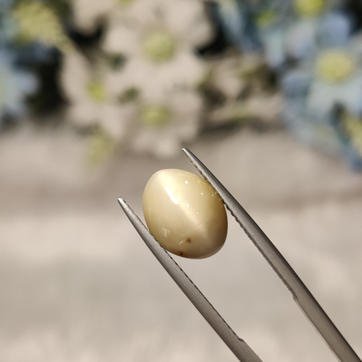 Natural Cats Eye (Lehsunia) | CE 68 | 4.17 Carat | Certified