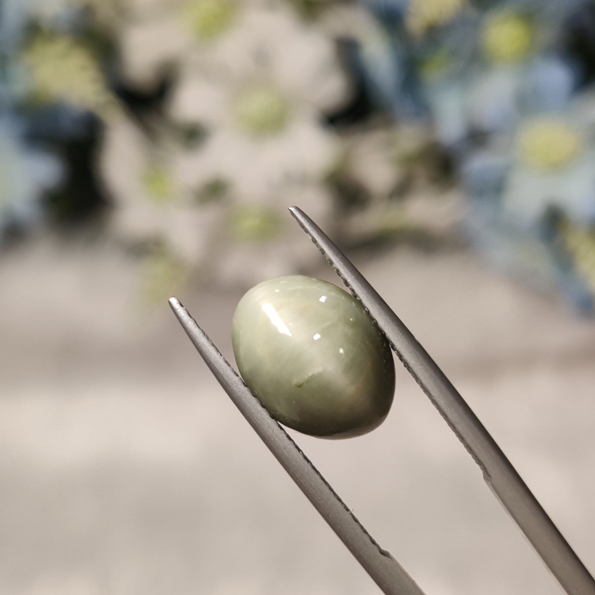 Natural Cats Eye (Lehsunia) | CE 19 | 4.82 Carat | Certified