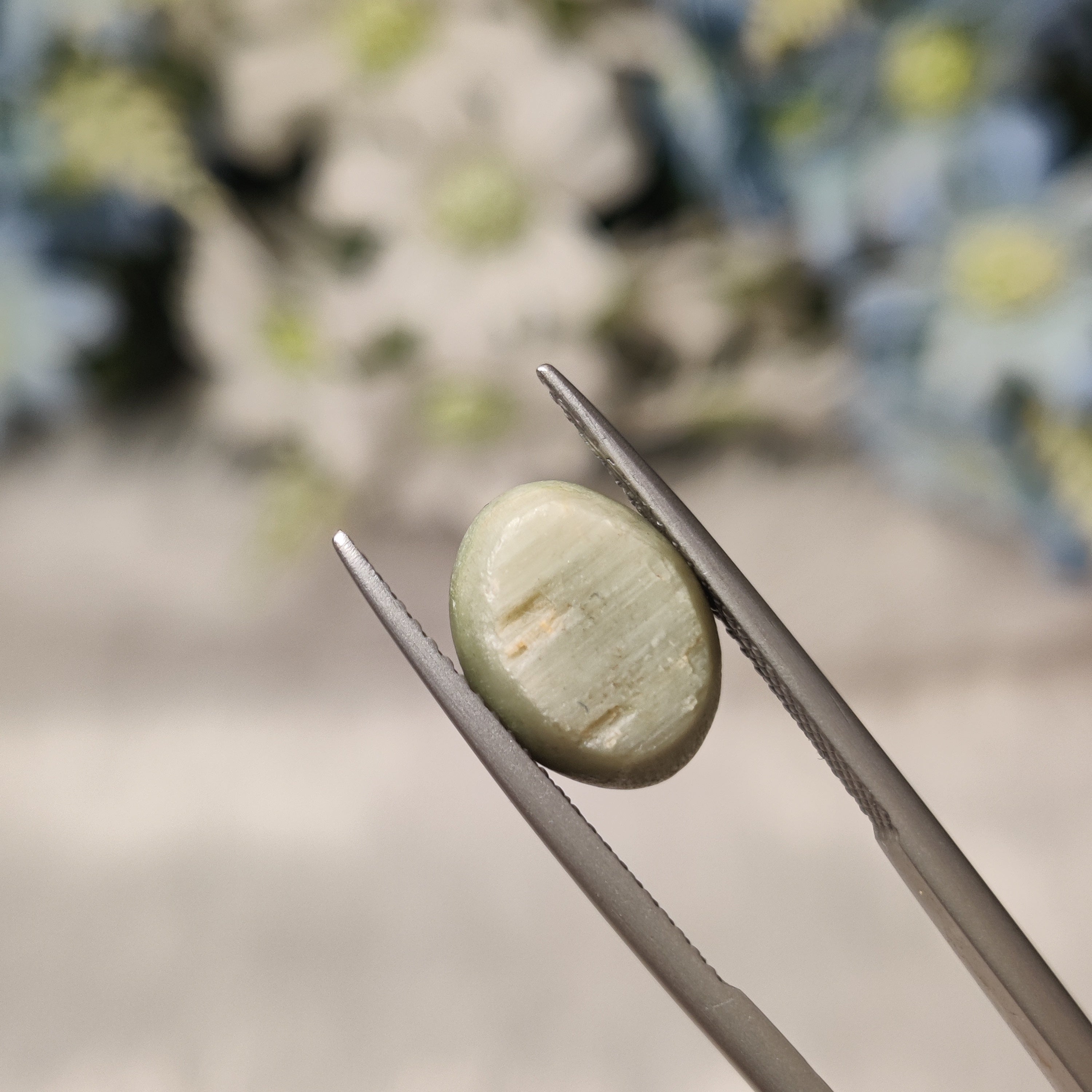 Cats Eye | CE 19 | 4.82 Carat